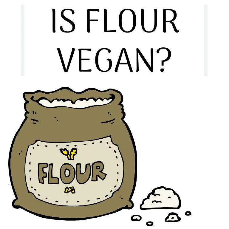 Is Flour Vegan