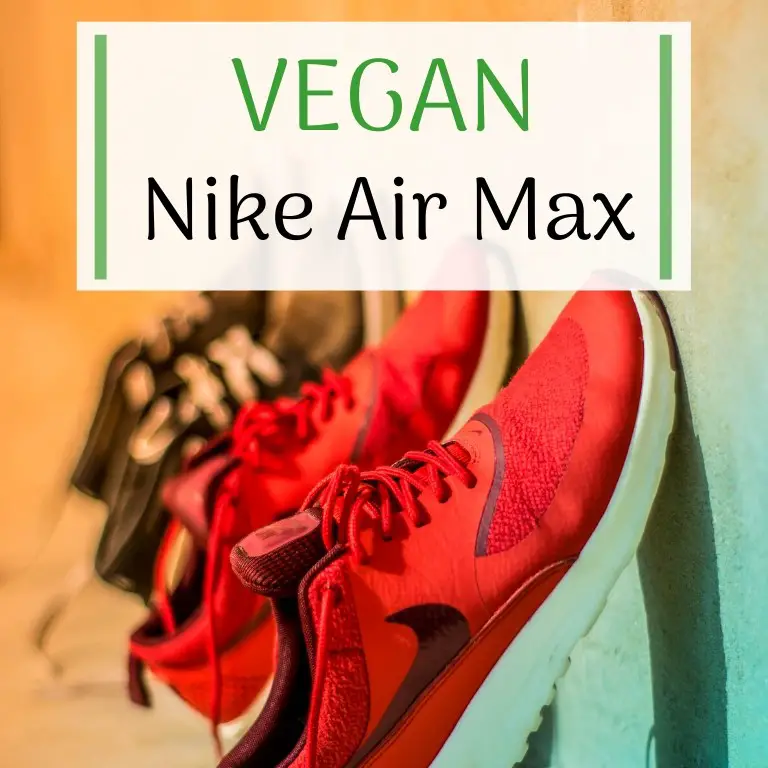 Are Nike Air Max Shoes Vegan