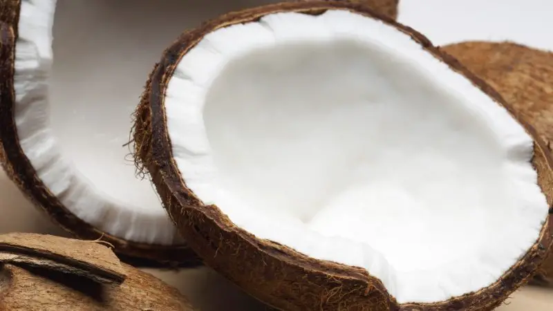 Is Coconut Oil Vegan