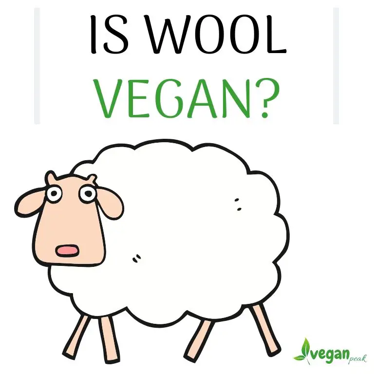 Is wool Vegan