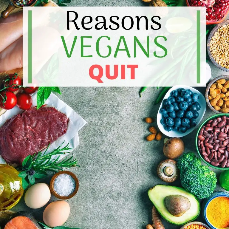 Why Do Vegans Quit