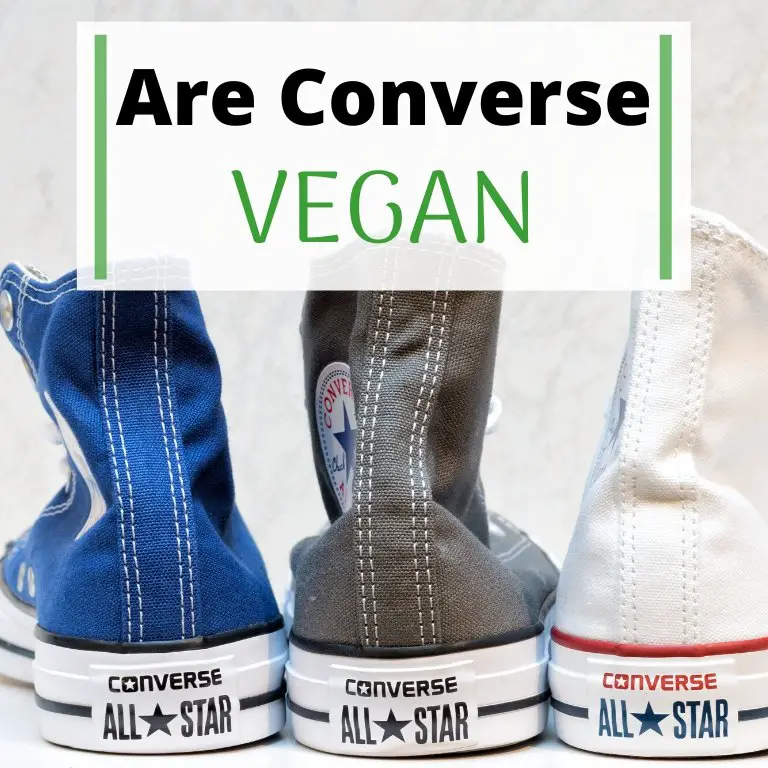 are converse vegan
