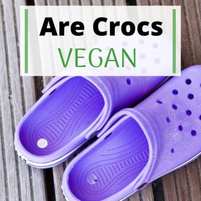 veggie crocs