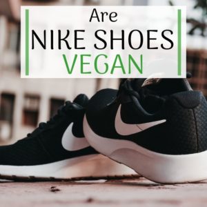 Are Nike Shoes Vegan? - Complete Guide