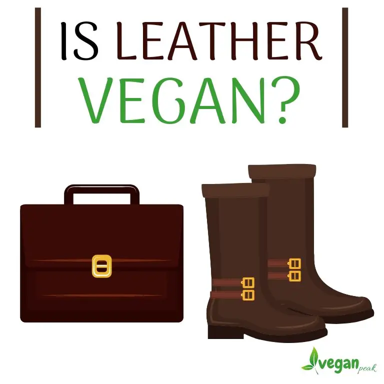 can vegans wear leather