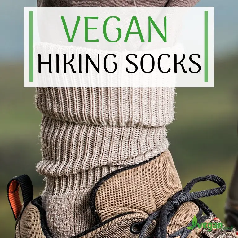 vegan hiking socks