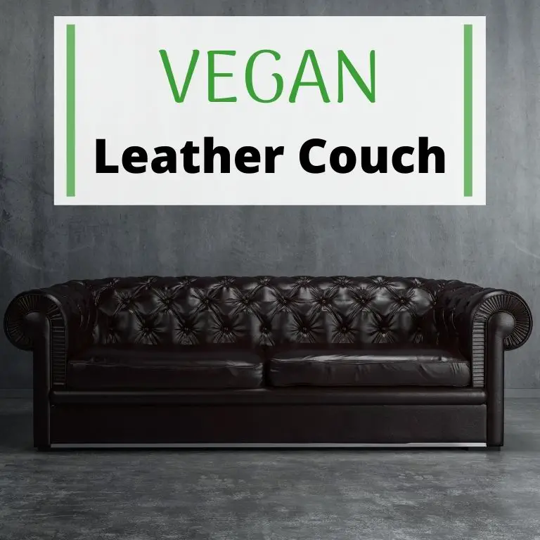 vegan leather couch