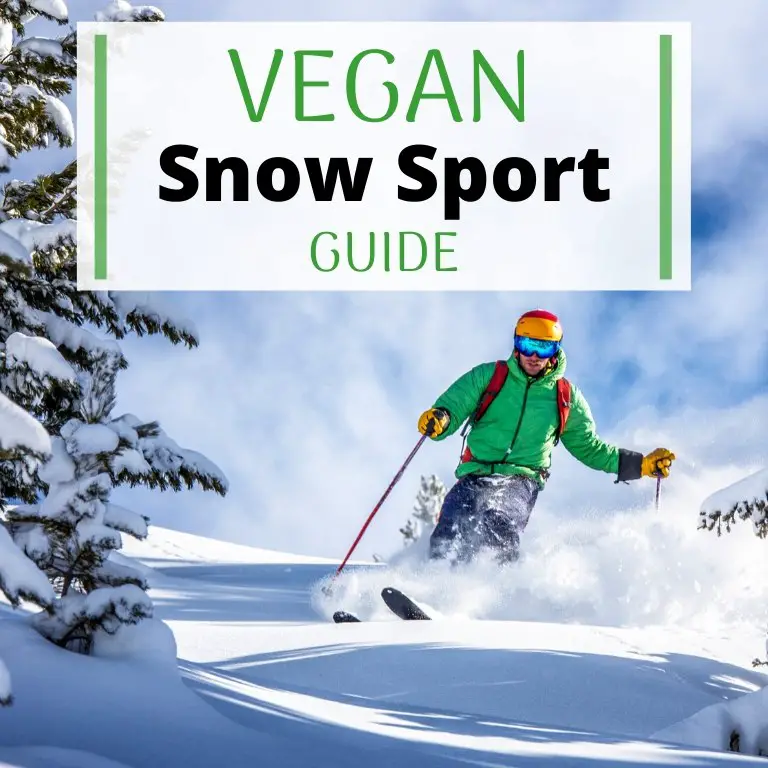 vegan snow sport guide, ski equipment and clothes