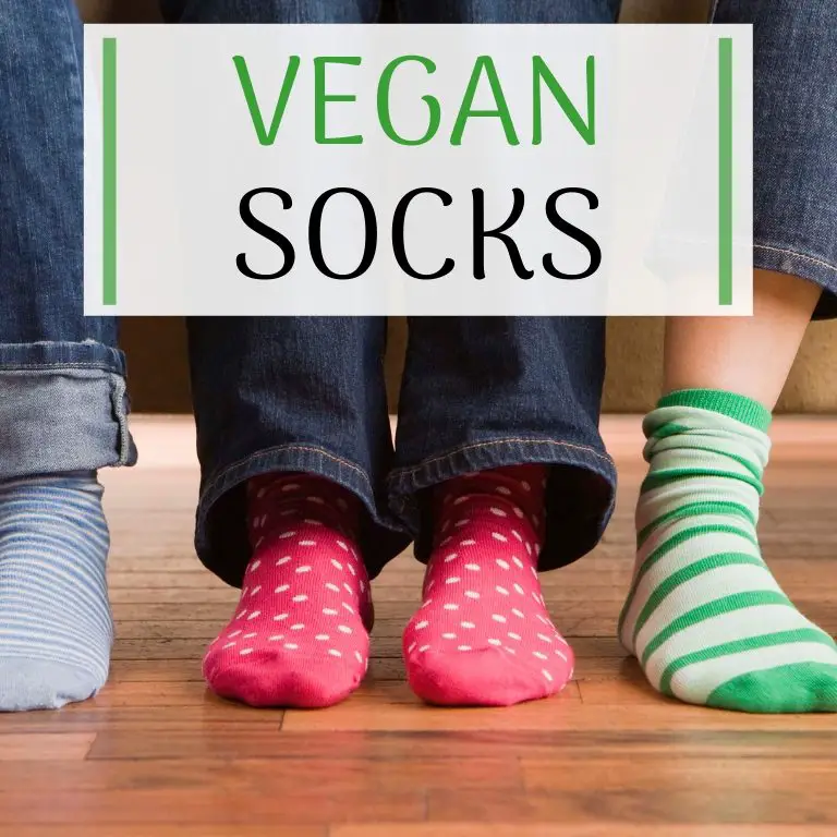 vegan socks