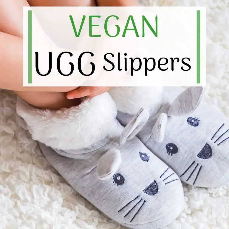 vegan ugg slippers