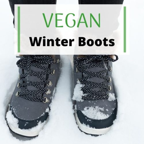 vegan winter shoes